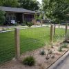 Several pieces of welded mesh panels are surrounding the garden