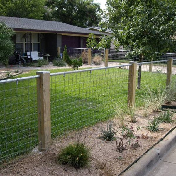 Several pieces of welded mesh panels are surrounding the garden