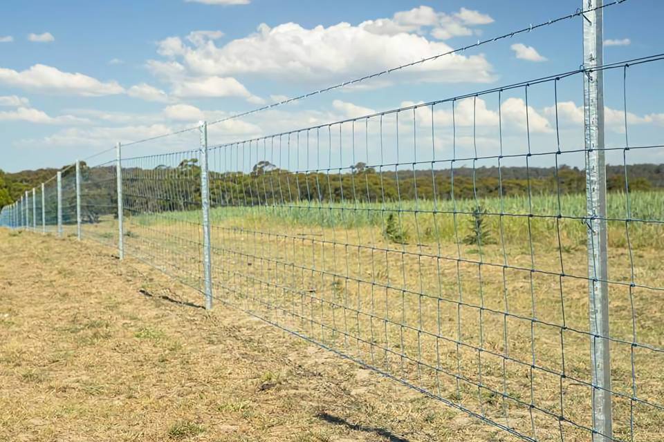 hinge-joint-knot-agricultural-fence-farmland